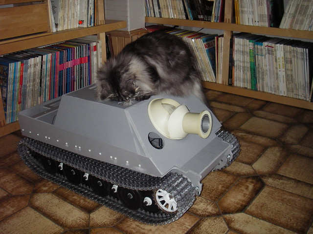 Sturm Tiger