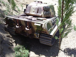 King Tiger (12)