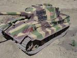 King Tiger (15)