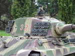 King Tiger 11