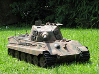Highlight for Album: Peter's King Tiger